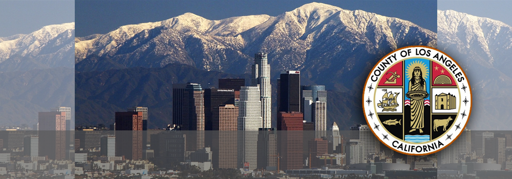 Los Angeles County Implements PCIS Claims System