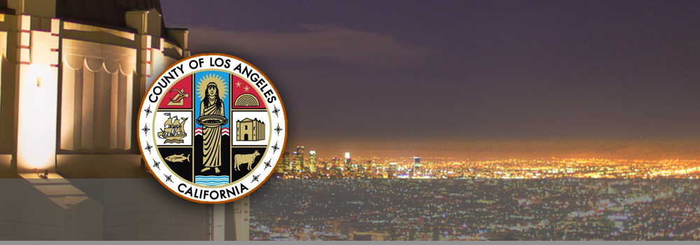 The County of Los Angeles Implementing PCIS ClaimsVISION for Claims Administration