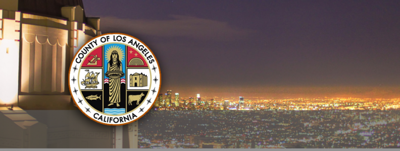 The County of Los Angeles Implementing PCIS ClaimsVISION for Claims Administration