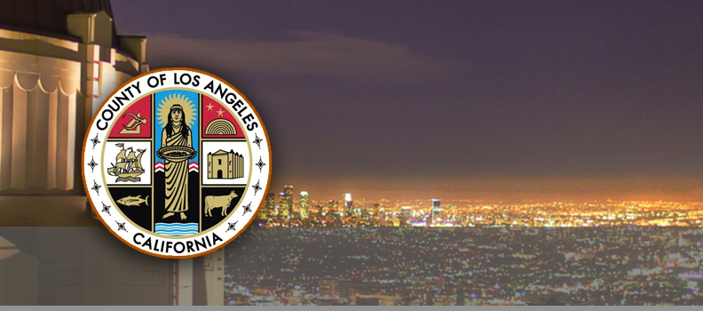 The County of Los Angeles Implementing PCIS ClaimsVISION for Claims Administration