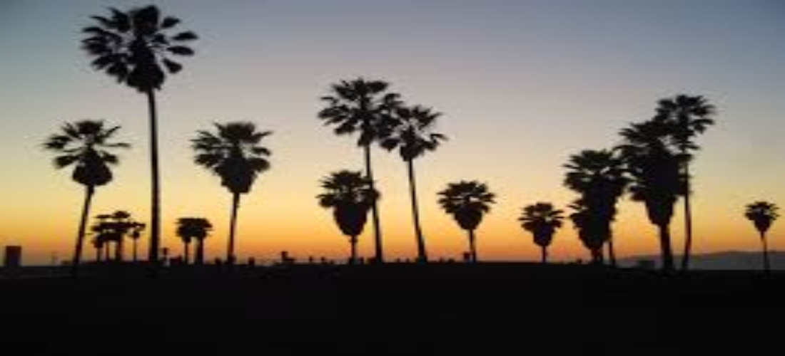 County of Los Angeles